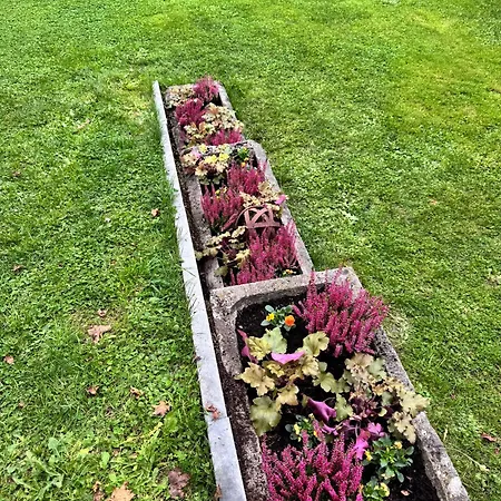 Refuge Des 4 As * דורבורי